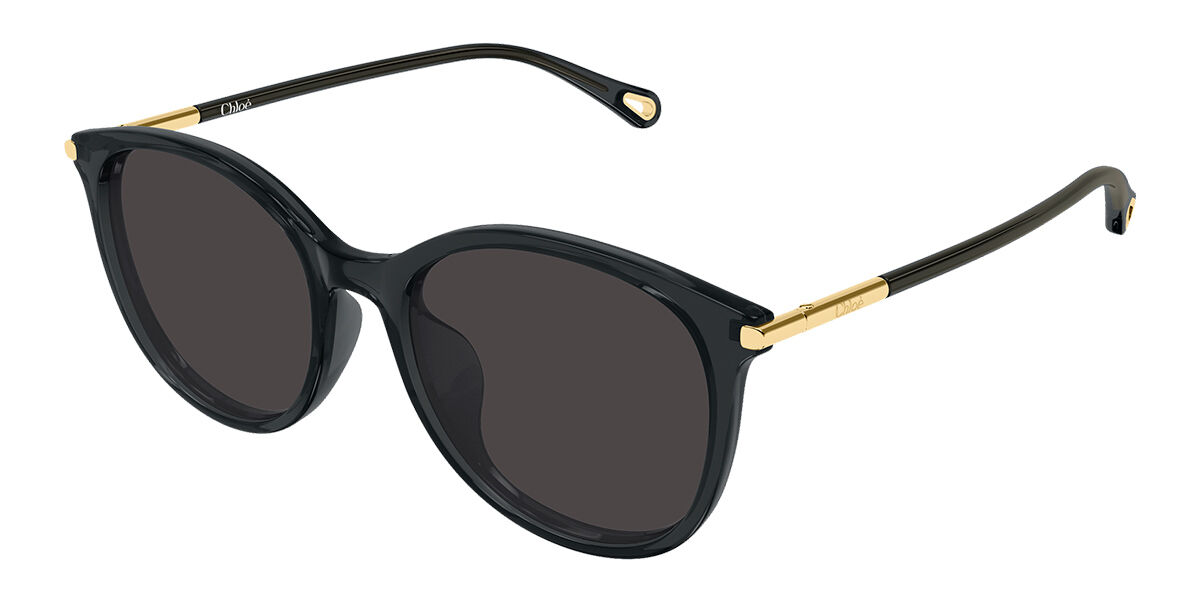 Chloé CH0397SK Asian Fit 001 56 Lunettes De Soleil Femme Grises