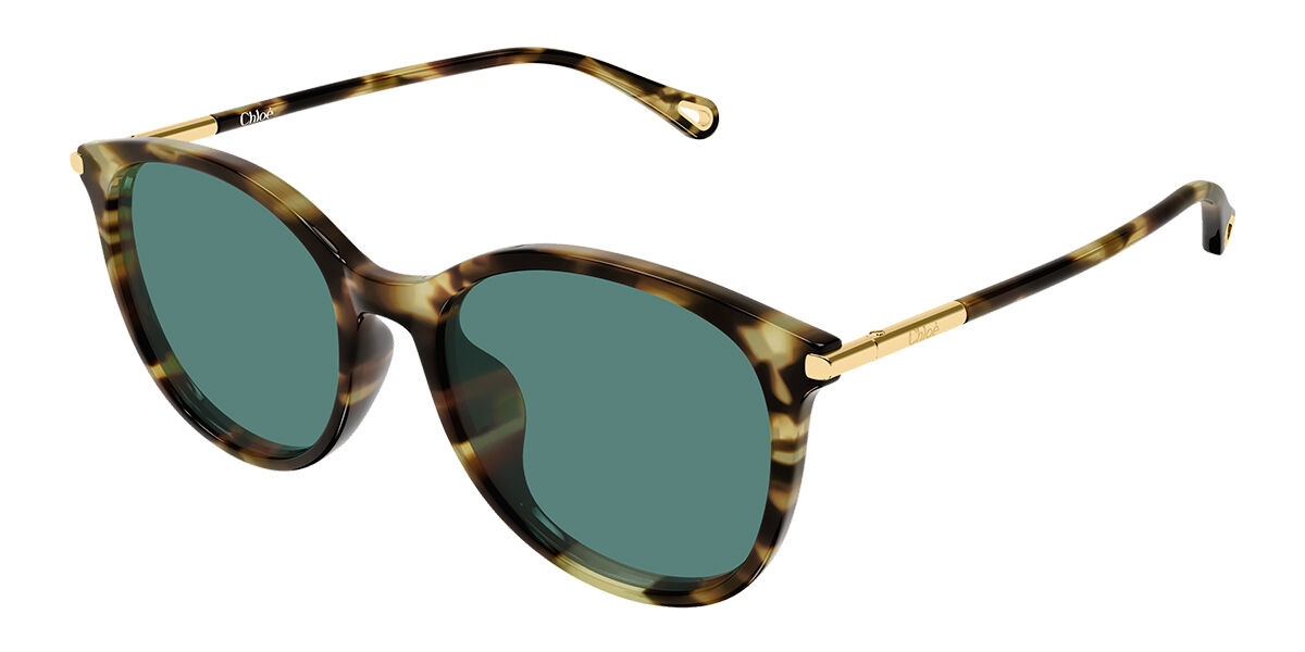Chloé CH0397SK Asian Fit 002 56 Lunettes De Soleil Femme Ecailléesshell