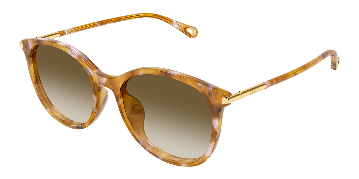 Chloé CH0397SK Asian Fit 003 56 Lunettes De Soleil Femme Ecailléesshell