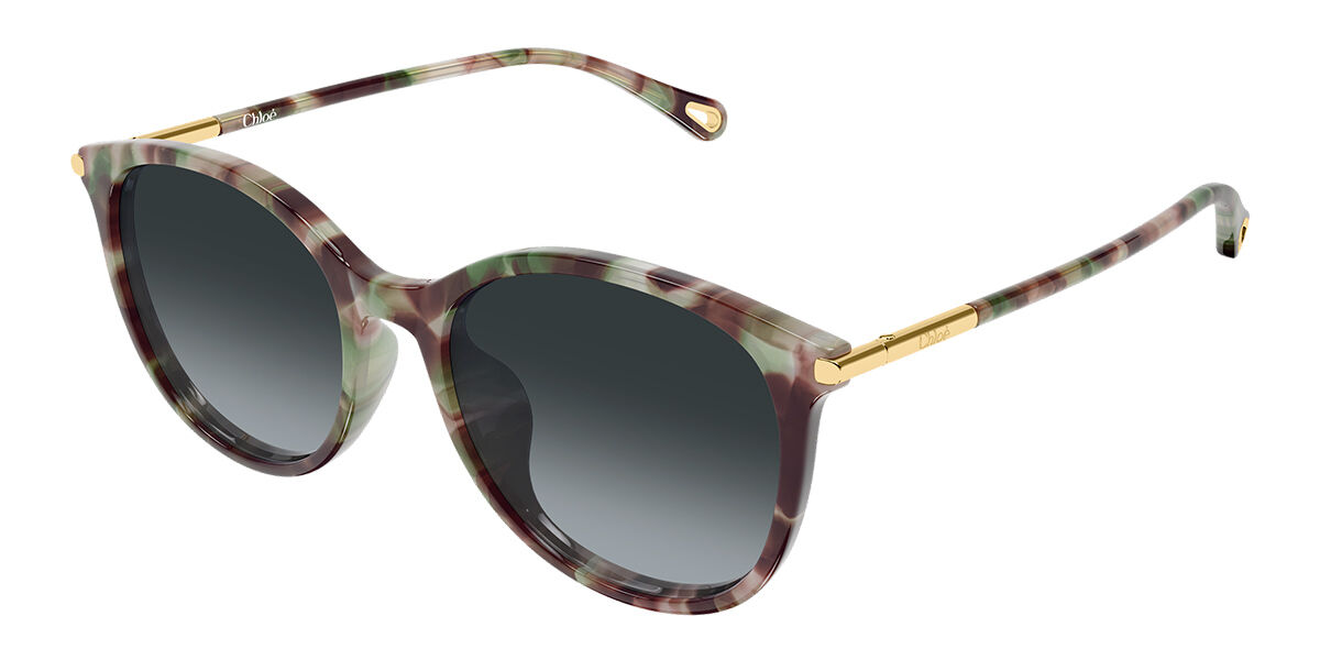 Chloé CH0397SK Asian Fit 004 56 Lunettes De Soleil Femme Ecailléesshell