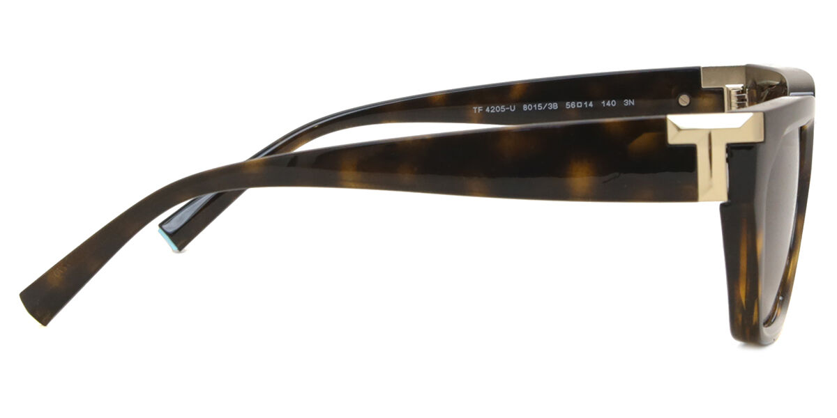 TF4205U サングラス べっこう | SmartBuyGlasses JP