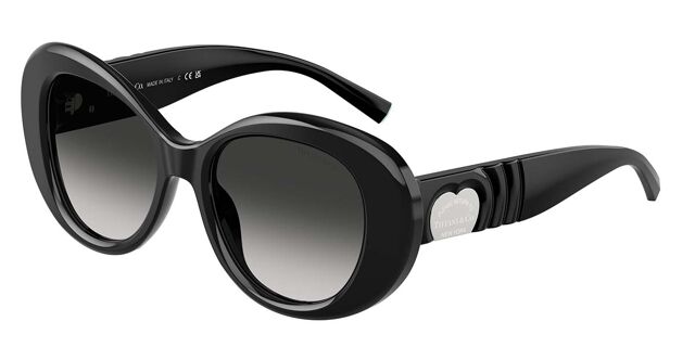 Tiffany & Co. TF4228 80013C Oval Black Sunglasses  display picture 2