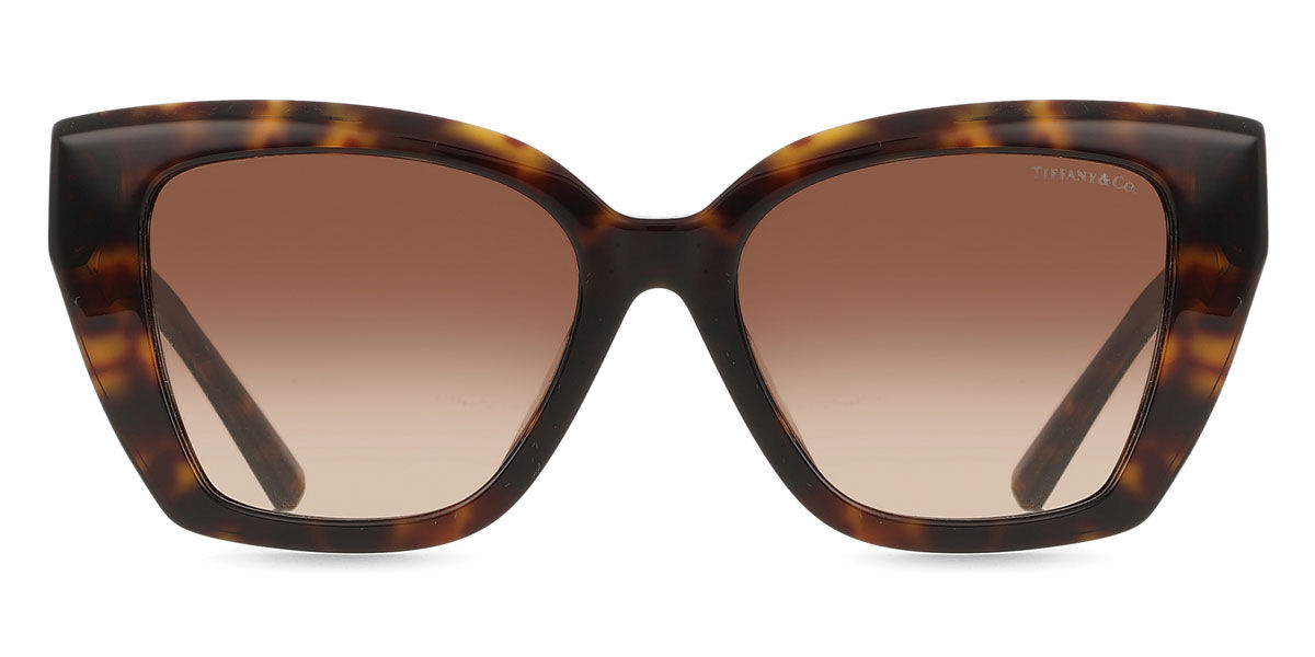 Tiffany & Co. TF423… - image