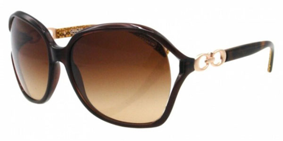 Coach Natasha HC8018 503513 Sunglasses in Brown | SmartBuyGlasses USA