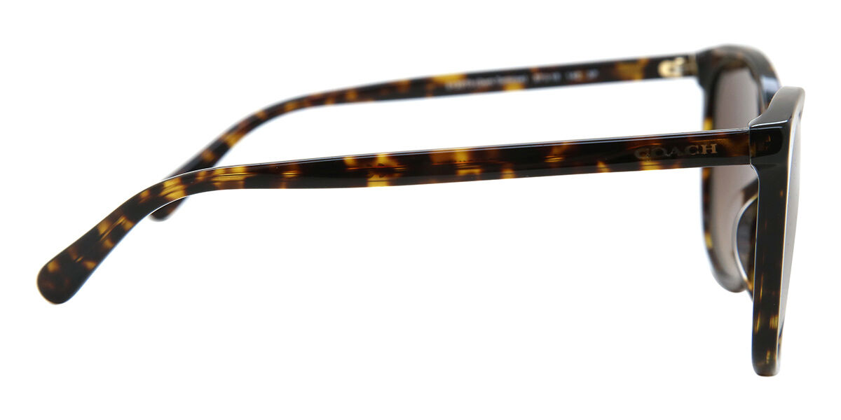 HC8271U L1101 Polarized sunglasses Dark Tortoise