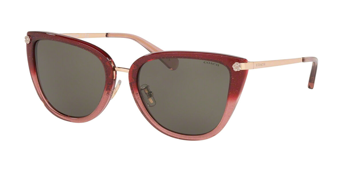 Coach on sale glitter sunglasses