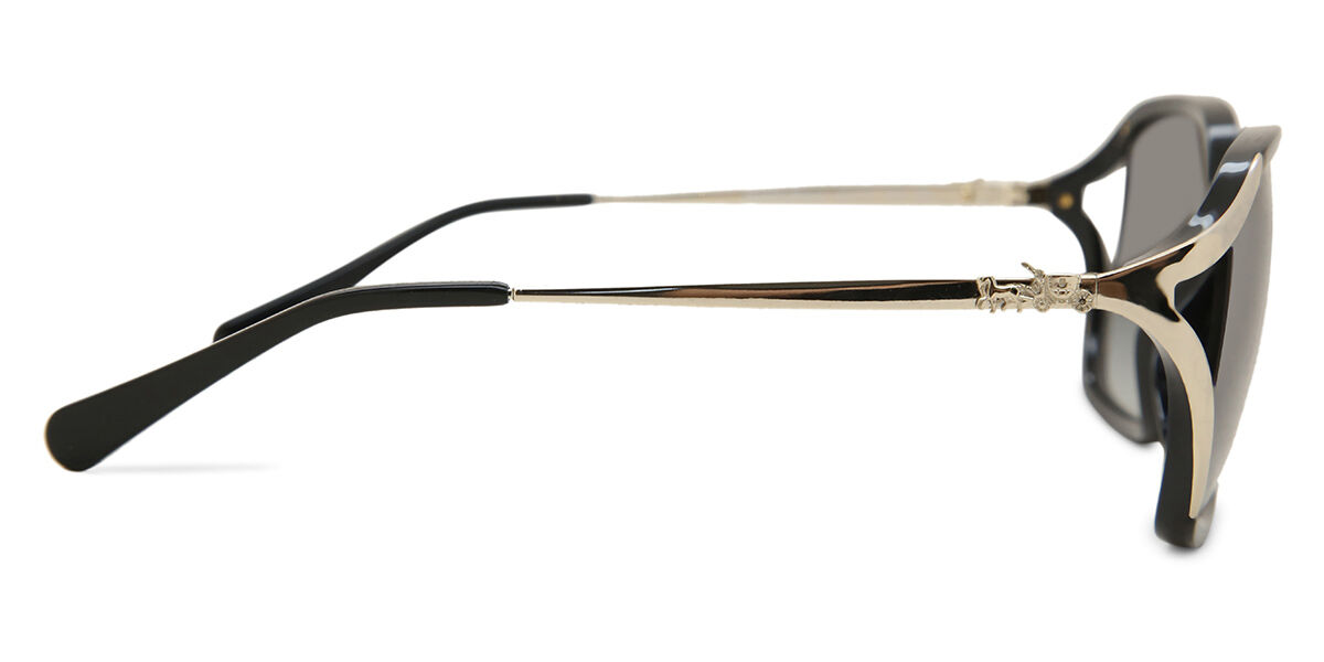 HC8280U L1116 sunglasses Black | SmartBuyGlasses US