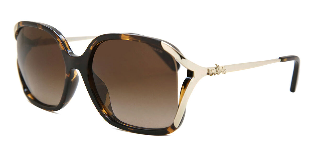 HC8280U L1116 サングラス Dark Tortoise | SmartBuyGlasses JP