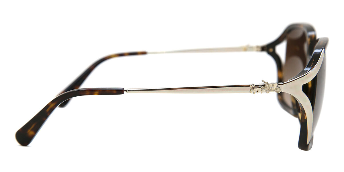 【送料,関税込】 COACH サングラス L1116 HC8280U HC8280U L1116 サングラス Dark Tortoise | SmartBuyGlasses JP