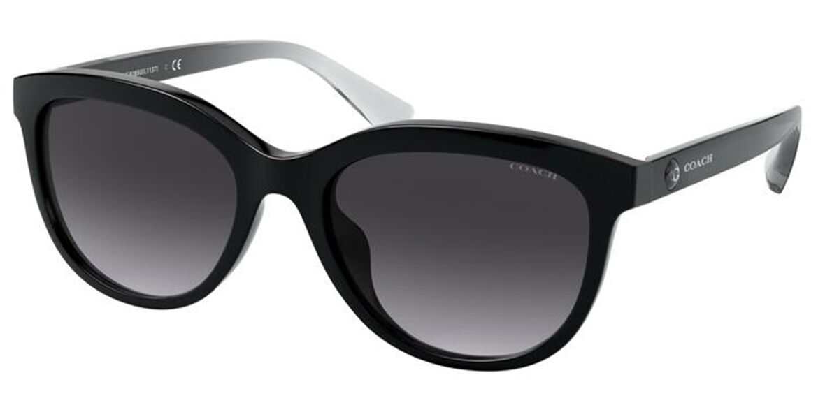 Coach HC8285U 50028G Sunglasses in Black | SmartBuyGlasses USA