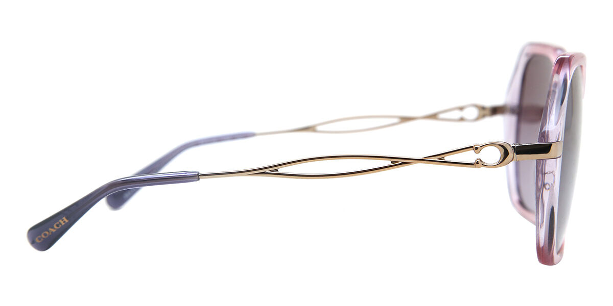 【送料,関税込】 COACHサングラス C3445 HC8315 Coach HC8315 C3445 Sunglasses | LensCrafters