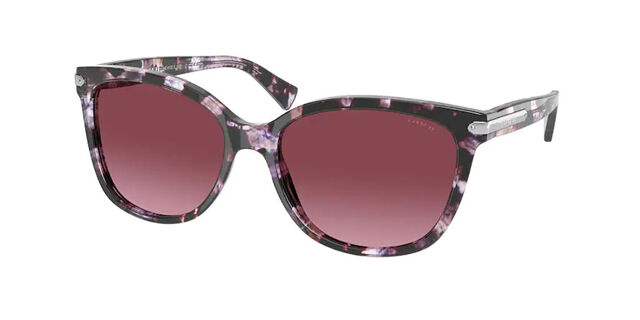 Coach HC8132 L109 55488H Square Purple Tortoise Sunglasses  display picture 2