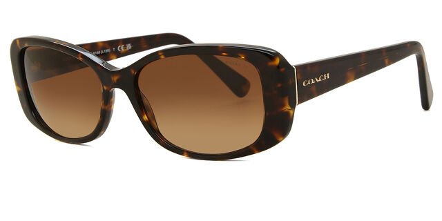 Coach HC8168 L156 512013 Rectangle Dark Tortoise Sunglasses  display picture 2