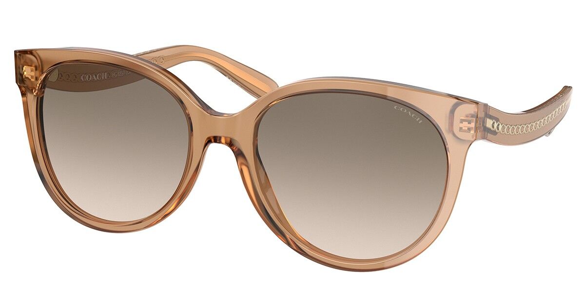 Brown coach clearance sunglasses