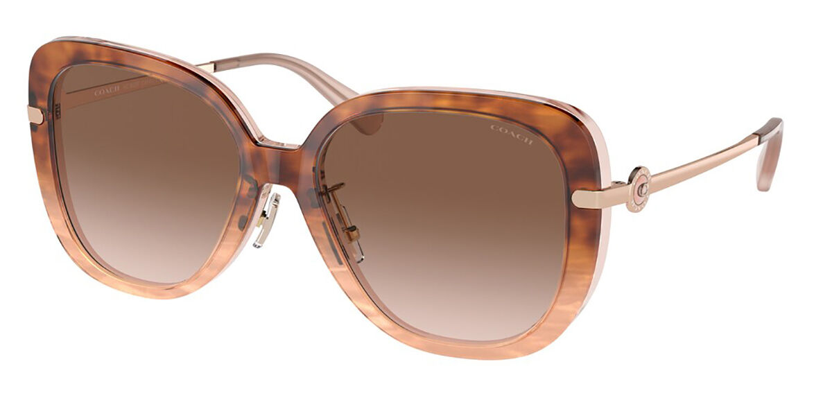Lentes Coach | Lentes de Sol Coach | Coleccion de Lentes Coach para Hombre  y Mujer
