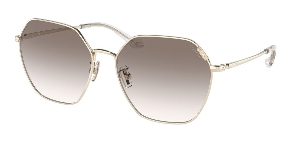 Coach Sunglasses HC7132 90058G