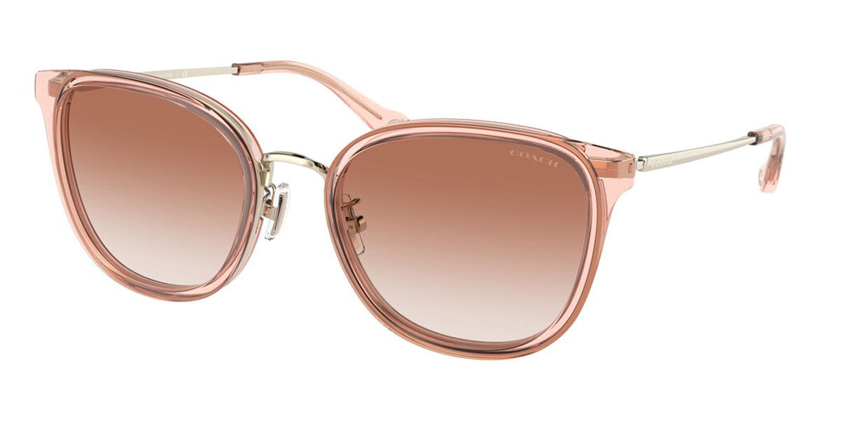 Coach Sunglasses HC7135 566813