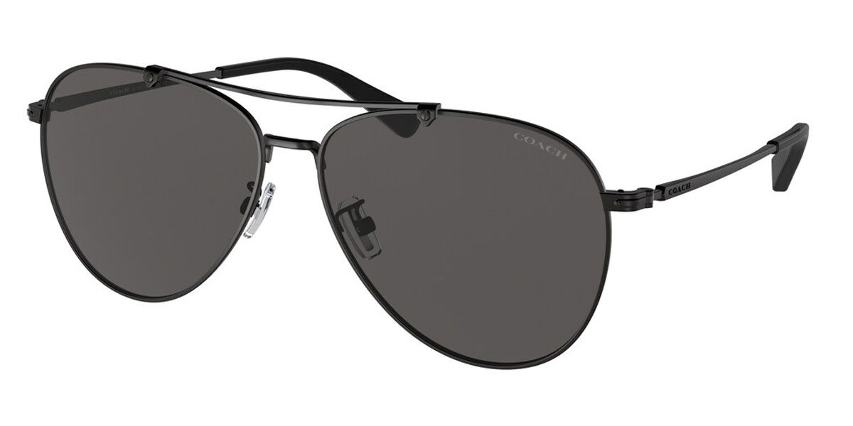 Coach Sunglasses HC7136 900387