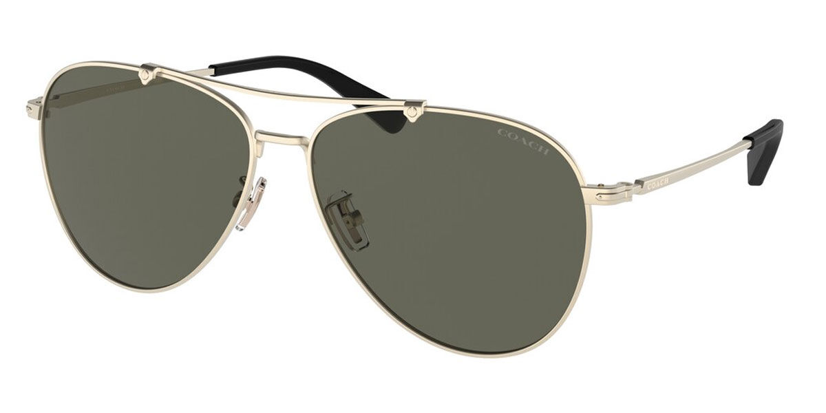 Coach Sunglasses HC7136 900587