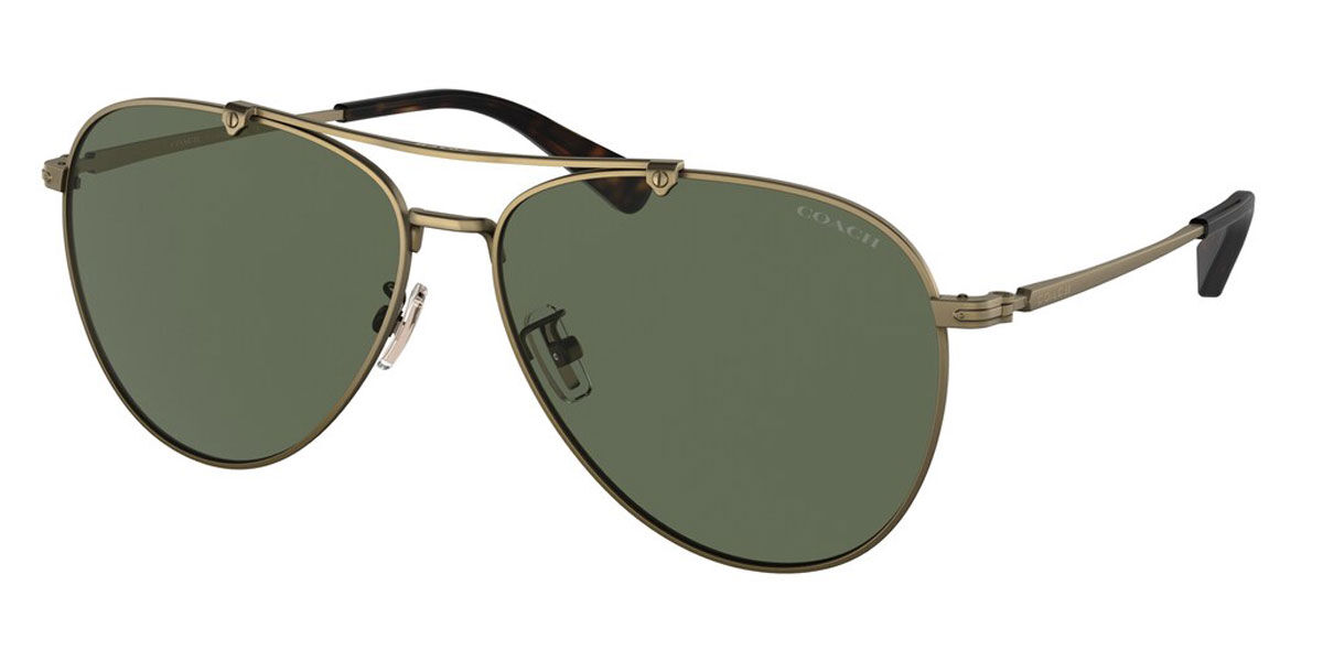 Coach Sunglasses HC7136 933371