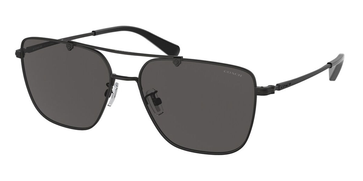 Coach Sunglasses HC7137 900387