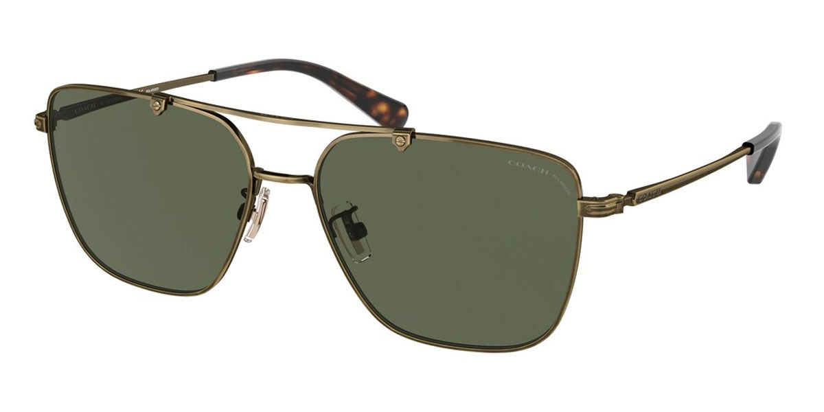 Coach Sunglasses HC7137 Polarized 93339A