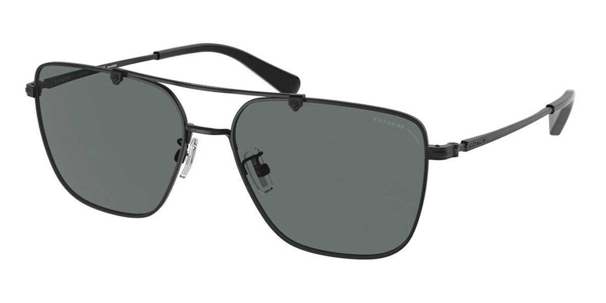 Coach Sunglasses HC7137 Polarized 939381