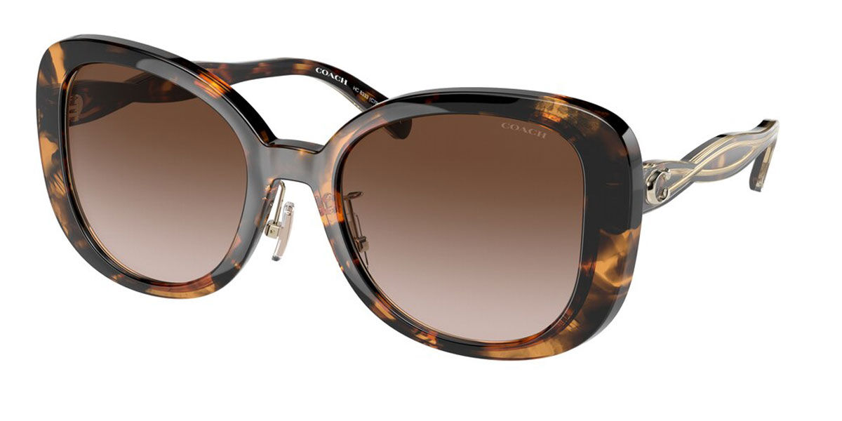 Coach HC8333 512013 Sunglasses Dark Tortoise | VisionDirect Australia