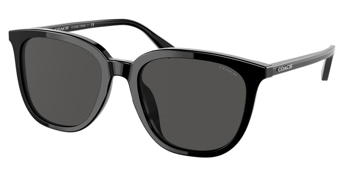 Coach Sunglasses HC8338U 500287