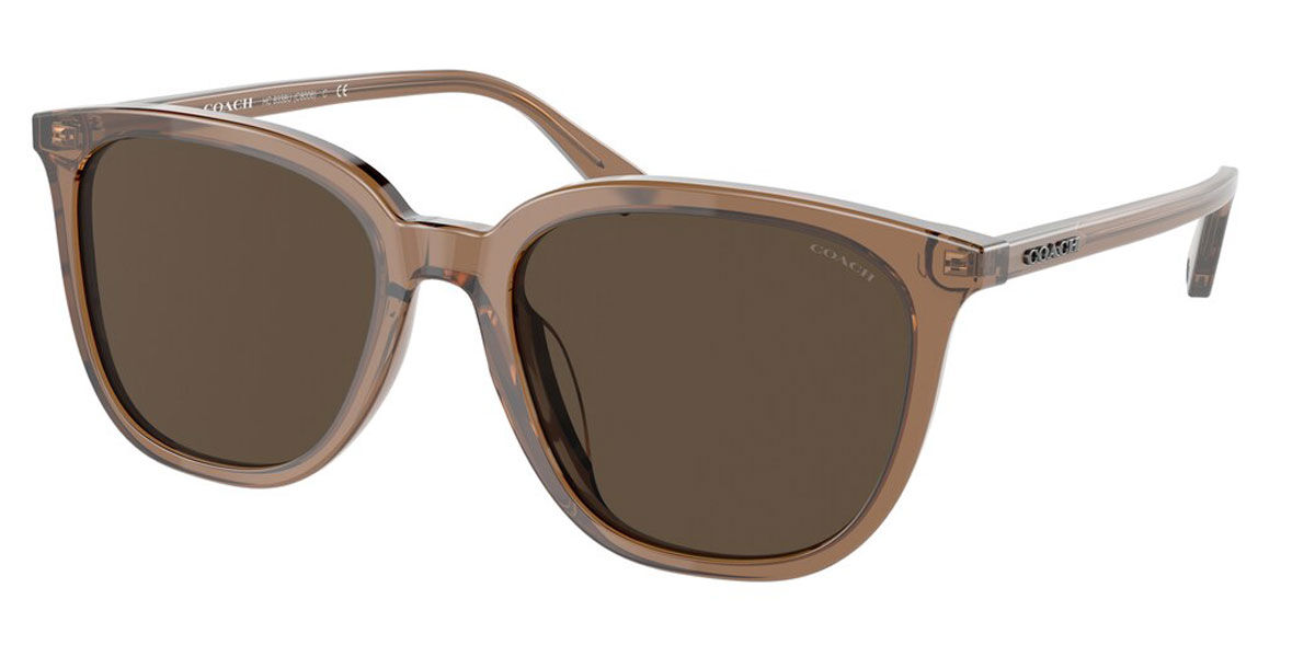 Coach Sunglasses HC8338U 567273