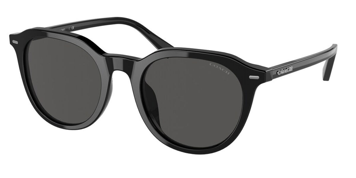 Coach Sunglasses HC8339U 500287