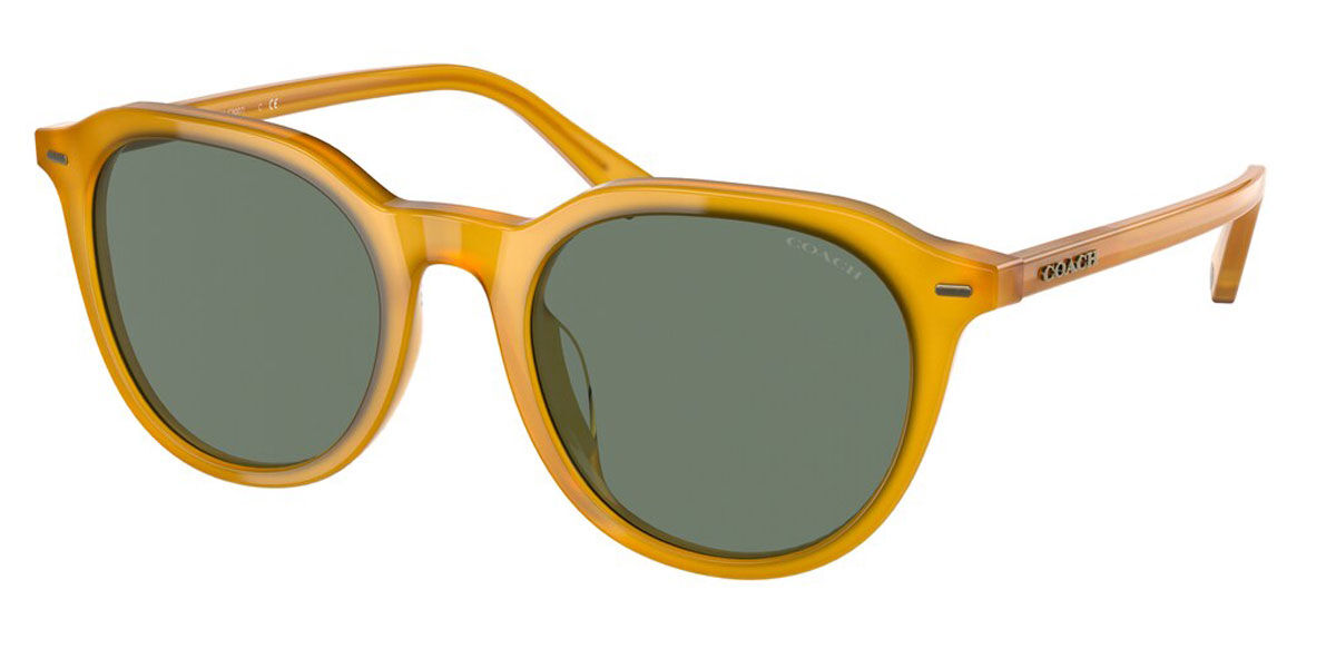 Coach Sunglasses HC8339U 52513H
