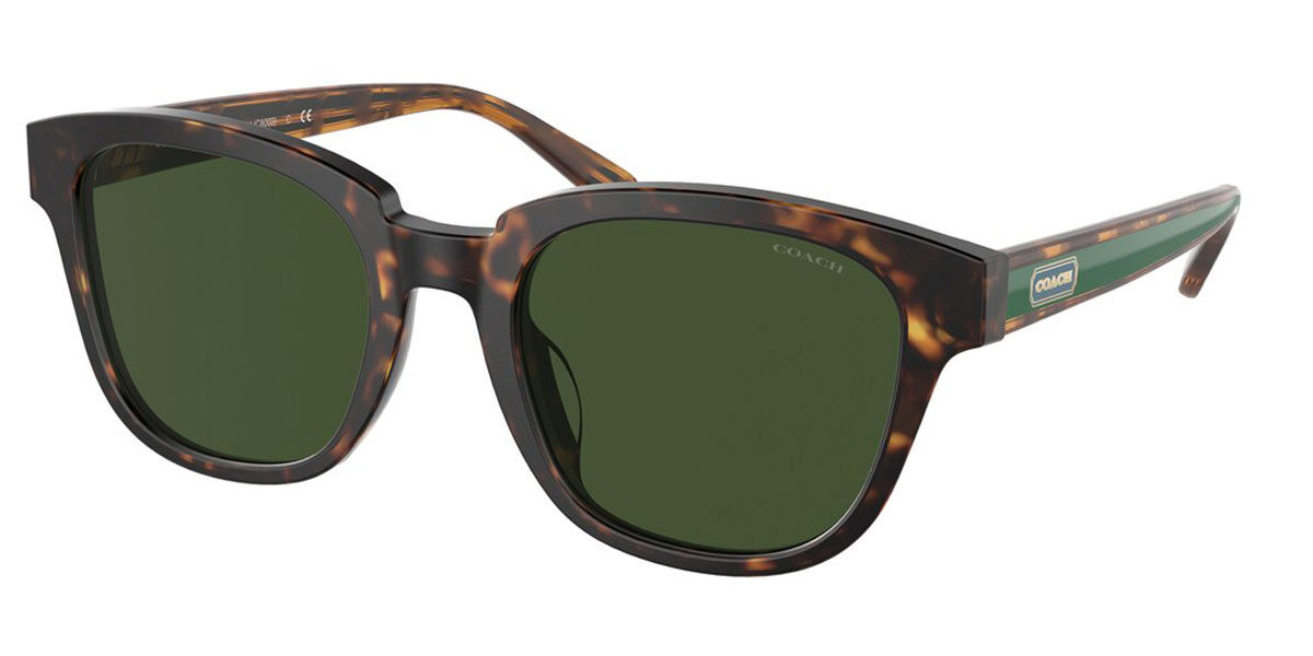 Coach Sunglasses HC8340U 512071
