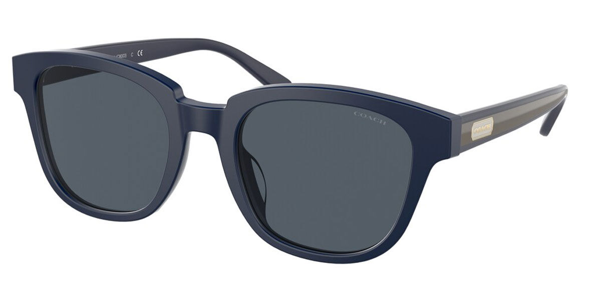Coach Sunglasses HC8340U 563287