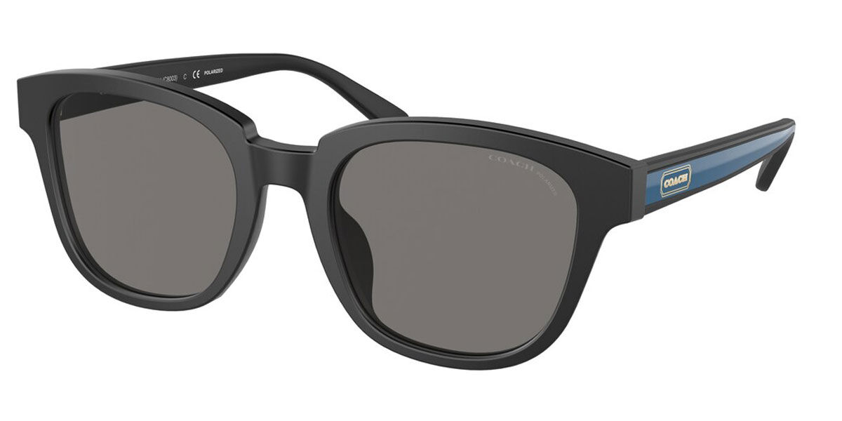 Coach Sunglasses HC8340U Polarized 500281