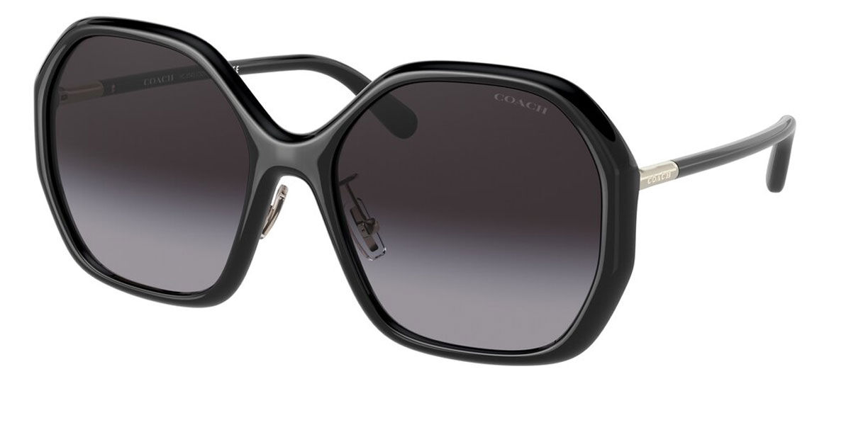 Coach Sunglasses HC8343 50028G