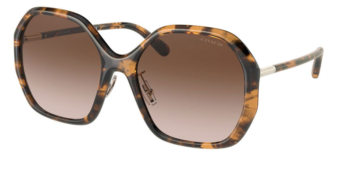 Coach Sunglasses HC8343 512013