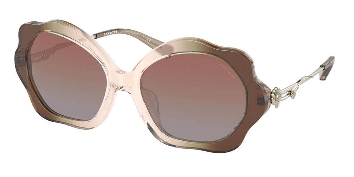 Coach Sunglasses HC8346BU 54008D
