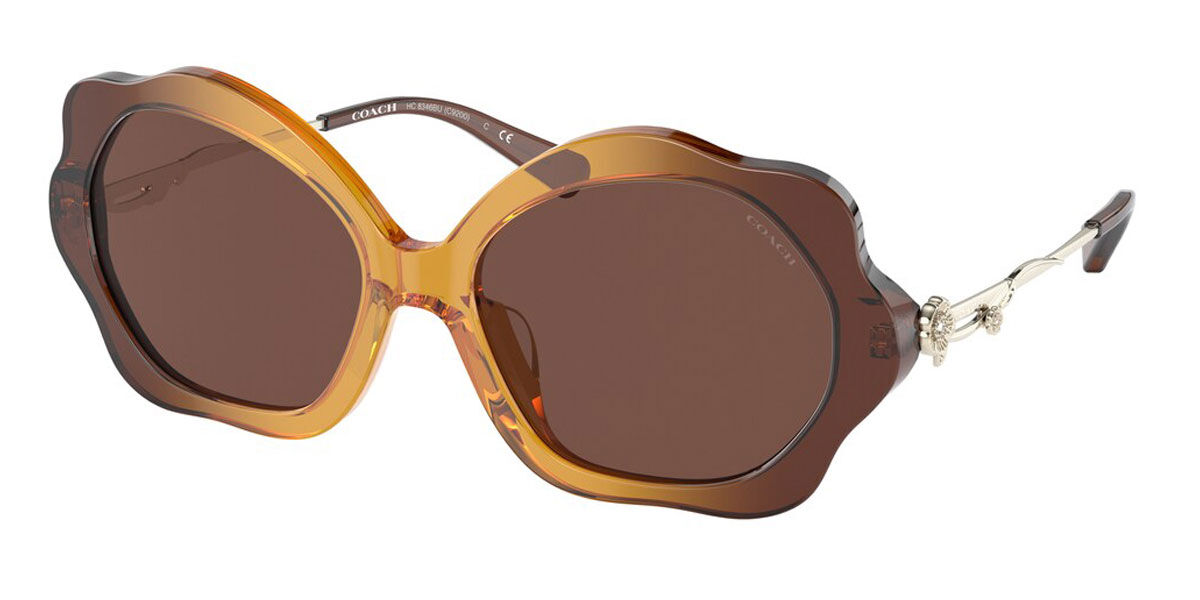 Coach Sunglasses HC8346BU 57016G