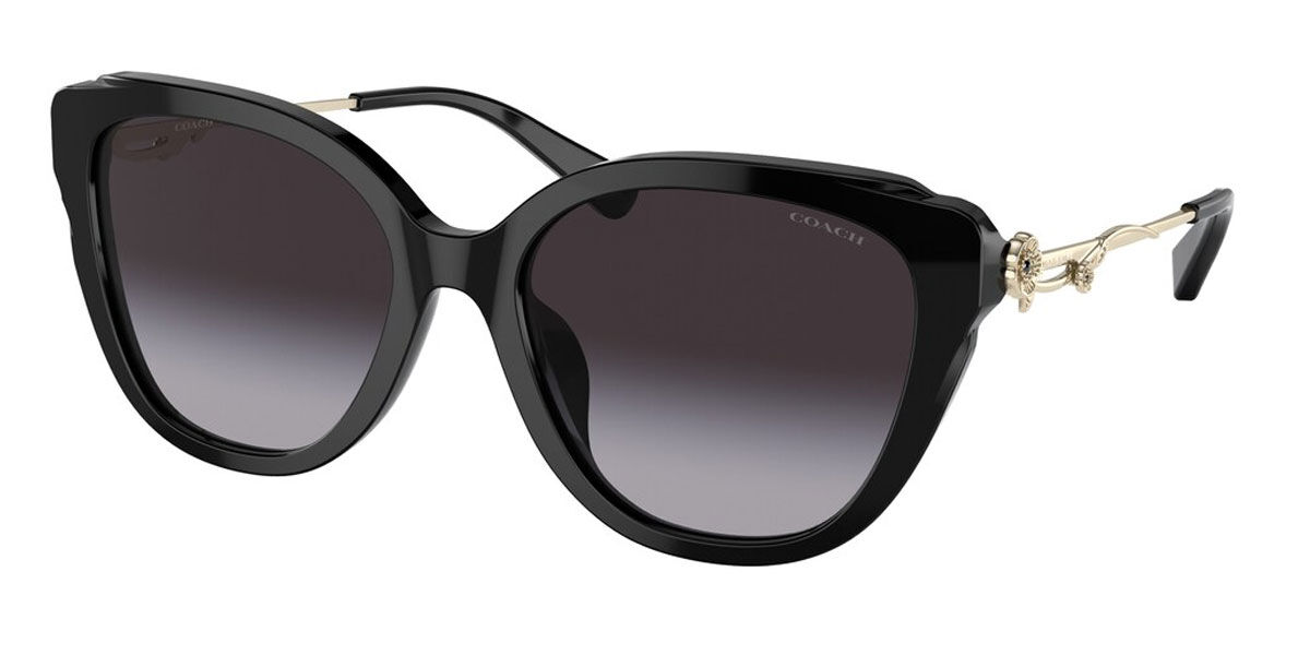 Coach Sunglasses HC8347BU 50028G