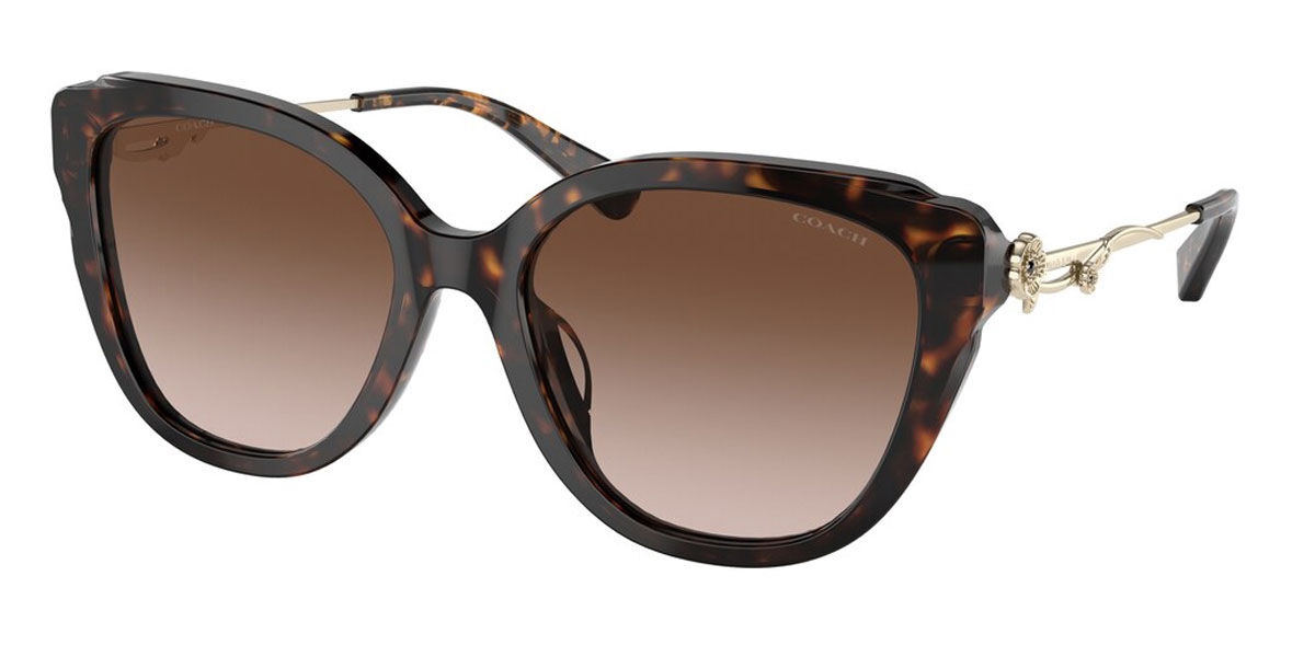 Coach Sunglasses HC8347BU 512013