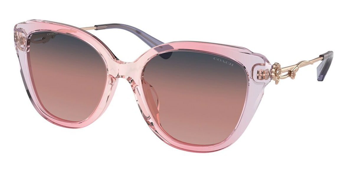 Coach Sunglasses HC8347BU 56418D