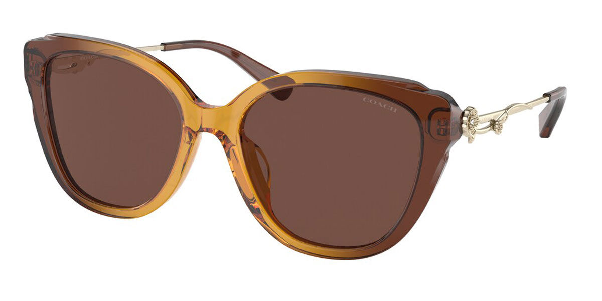 Coach Sunglasses HC8347BU 57016G
