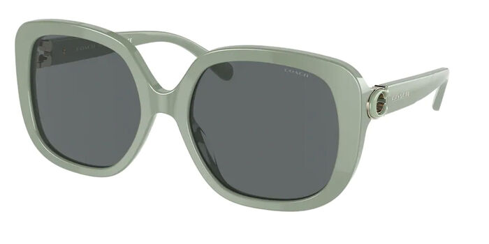 Coach HC8292 L1144 50028G Square Black Sunglasses  display picture 3