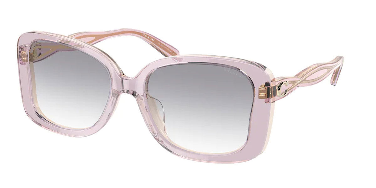 Coach Sunglasses HC8334U 567911