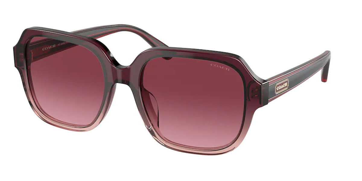 Coach Sunglasses HC8335U 56978H