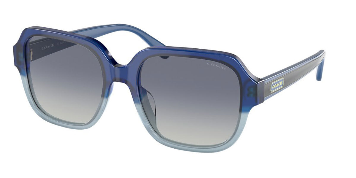 Coach Sunglasses HC8335U 56984L