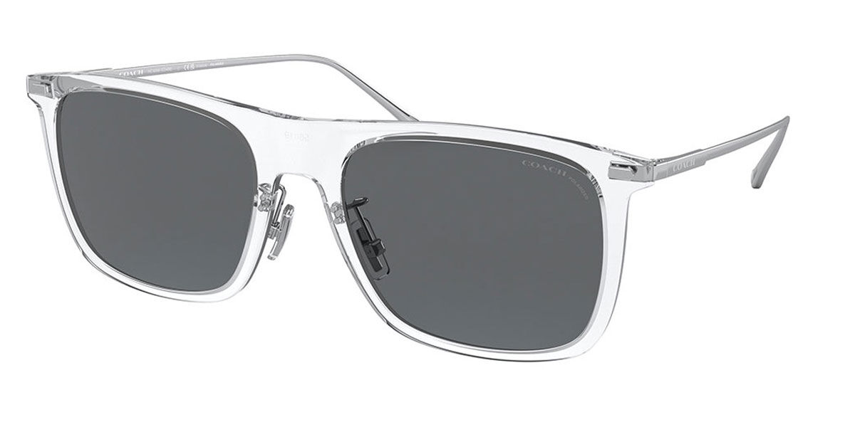 Coach HC8356 CD456 Polarized 511181 Sunglasses Clear | VisionDirect ...