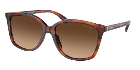 Coach HC8361U CH558 Asian Fit Sunglasses