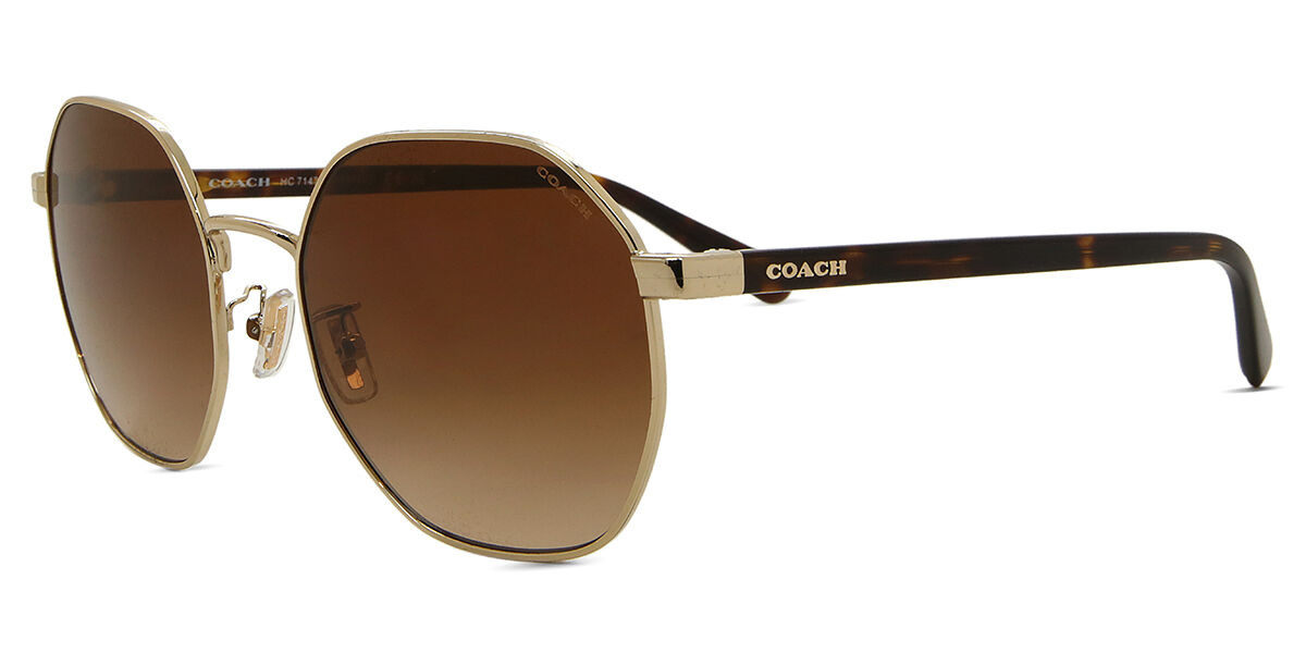HC7147 CH556 Asian Fit サングラス Pale Gold | SmartBuyGlasses JP